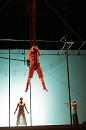 vertige du papillon 003 * 2336 x 3504 * (3.21MB)
